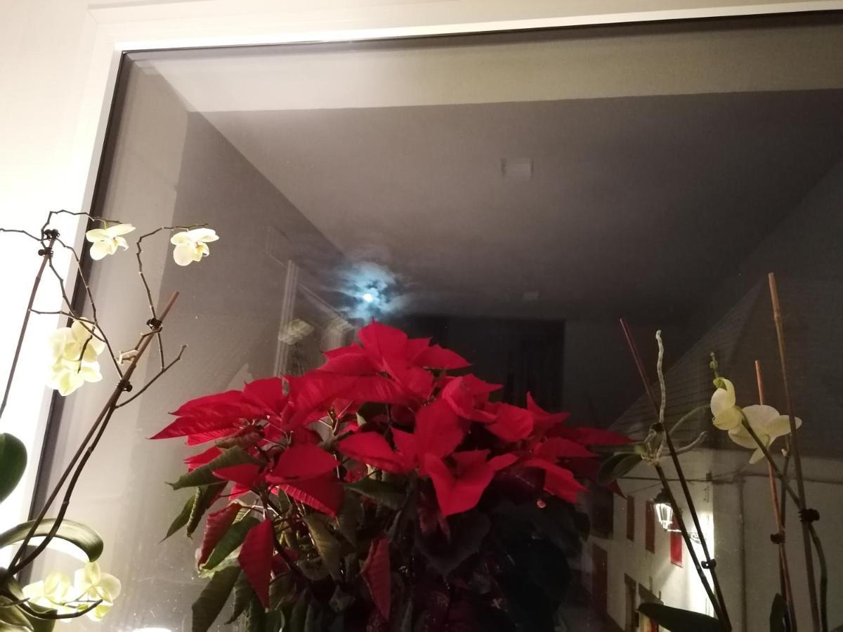 Casa Patxikuzuria Otel Espinal-Auzperri Dış mekan fotoğraf
